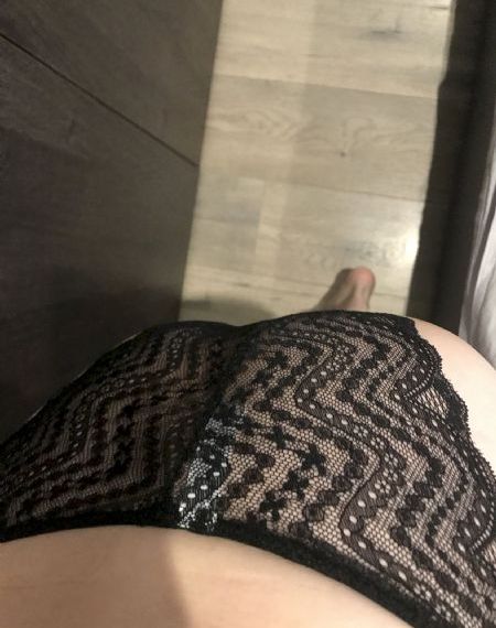 cupfox茶杯狐