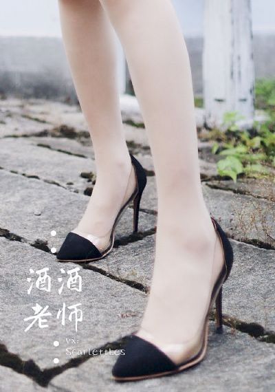 后宫露营在线播放