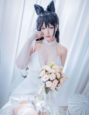 狙击手电视剧免费观看全集