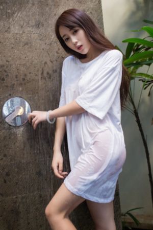 免费理论片手机在线播放