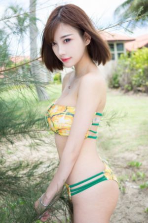 沪淞会战