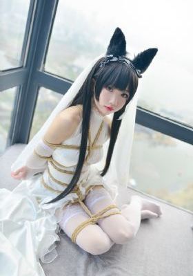 免费观看影视